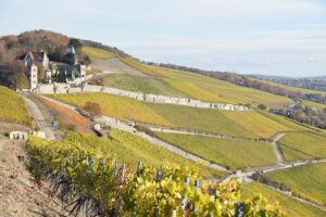 Würzburger stein wijngaard | Burgersptal Franken