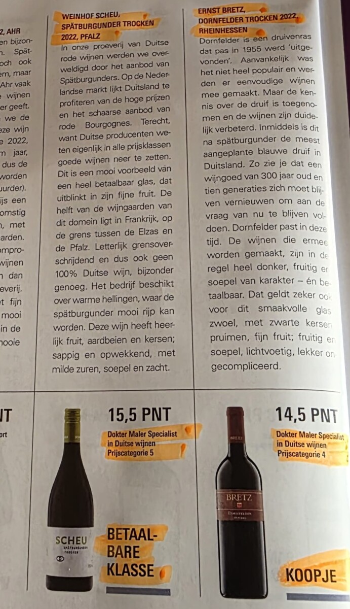 Scheu Spätburgunder trocken 2022 - Afbeelding 2