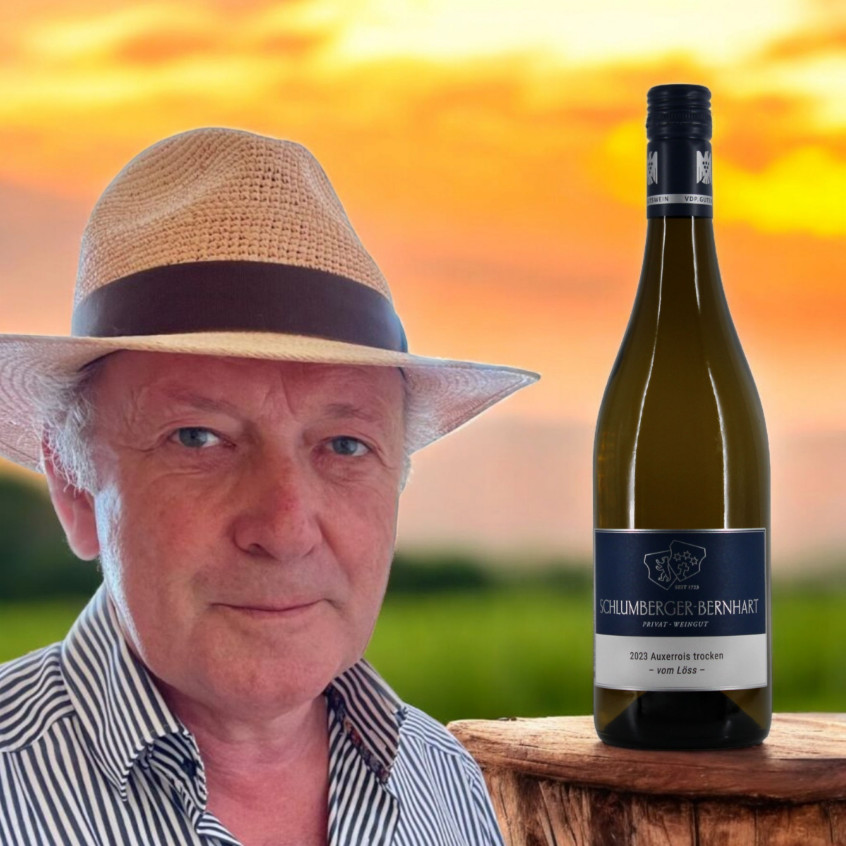 Schlumberger-Bernhart Auxerrois 2024 VDP - Afbeelding 2