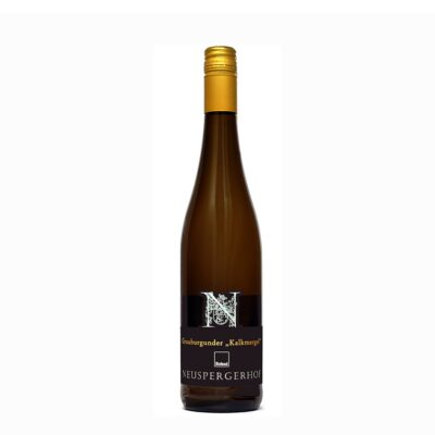 Neuspergerhof Grauburgunder 2024, bio en vegan