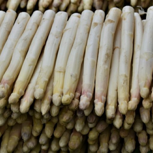 aspergetijd | de beste wijn bij asperges