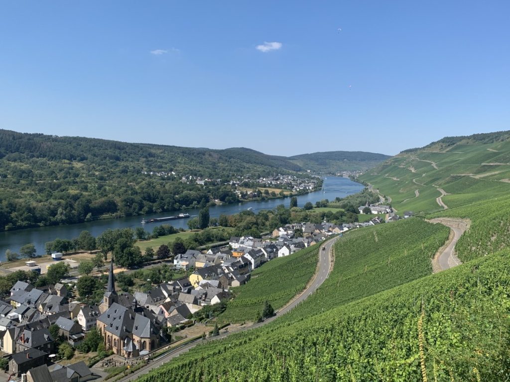 Riesling uit Duitsland in wijngaard met steile hellingen