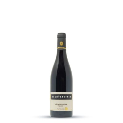 Wachtstetter Spätburgunder VDP Ortswein 2022